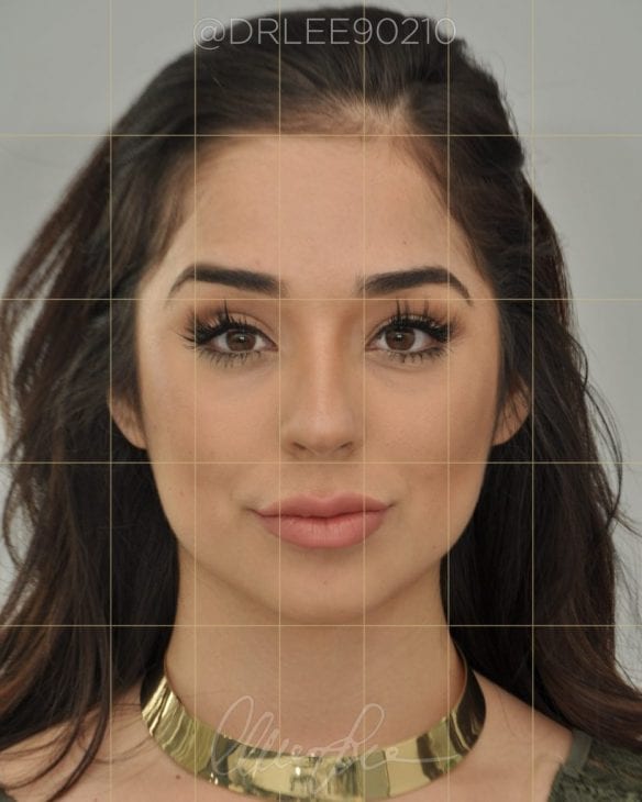 Mathmatically Correct Facer The Mathematically Perfect Face | Charles S. Lee, MD